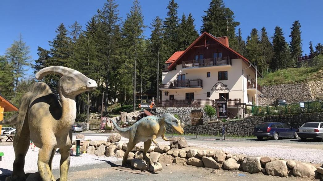 Safir Przy Samym Wyciagu Bed & Breakfast Karpacz Bagian luar foto