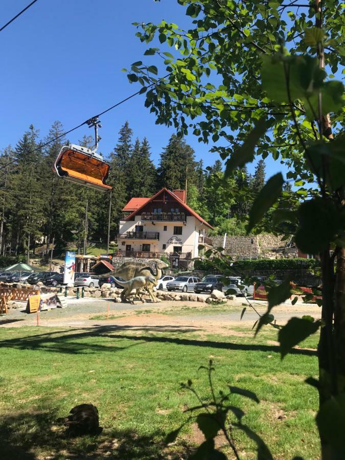 Safir Przy Samym Wyciagu Bed & Breakfast Karpacz Bagian luar foto