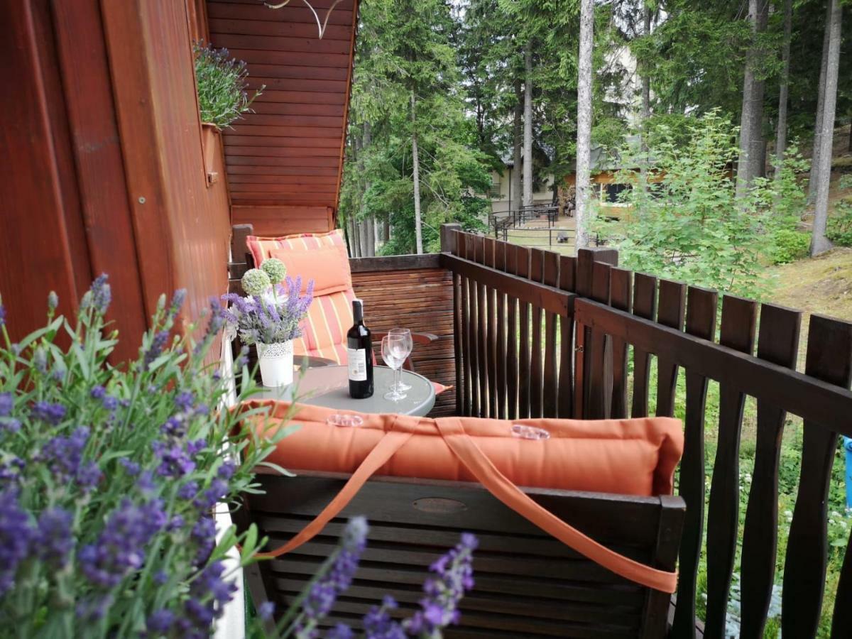 Safir Przy Samym Wyciagu Bed & Breakfast Karpacz Bagian luar foto