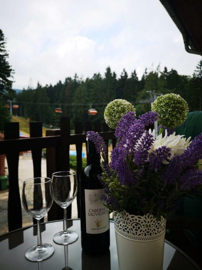 Safir Przy Samym Wyciagu Bed & Breakfast Karpacz Bagian luar foto